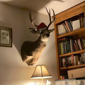 Meet your Posher, Martha
